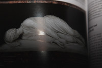 Untitled from the ongoing photography project "Further Reading", (2008-2013)