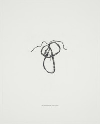 and certainly one of us will grieve, (2013)