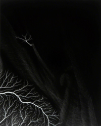 Lightening Field 143 (2009)