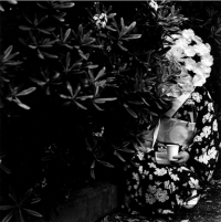 Woman Behind Flowers (1981)