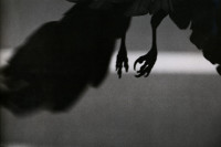 Koen dori, Shibuya (1982)