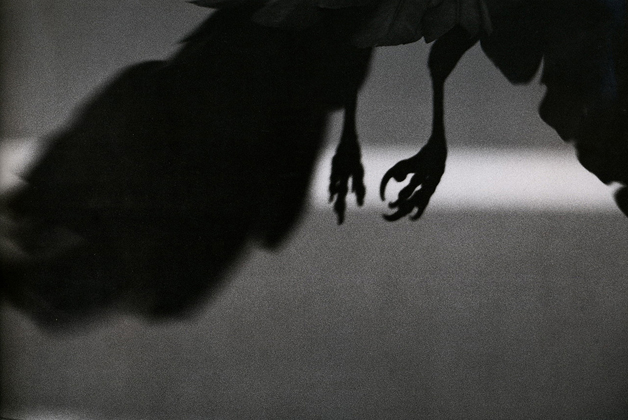 Koen dori, Shibuya (1982)