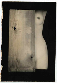 Box of Fu no. 230 (1996)