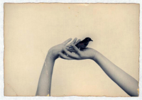 Nakazora no.955 (2003)