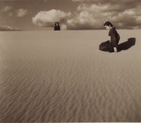 My Wife in the Dunes IV