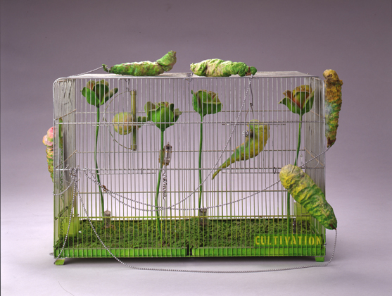 Cultivation-For Nostalgic Purpose-For Your Living Room, (1967-1968)