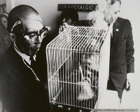 Tetsumi Kudo during the Happening "Quiet Event-Observation", presented at Gallery M.E. Thelen, 1968