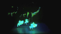 Dance PLUS projection mapping 2