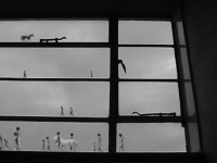 Hiraki Sawa, Excerpt from migration_2, 2003