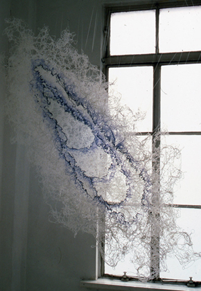 Oyster, 2000