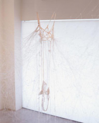 Untitled - Slip detail, 2007