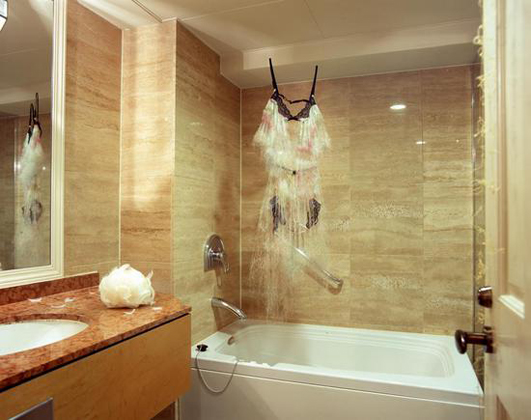 Untitled - lingerie, 2008