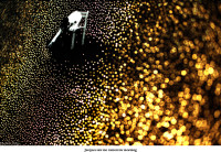 Jacques saw me tomorrow morning, 2002