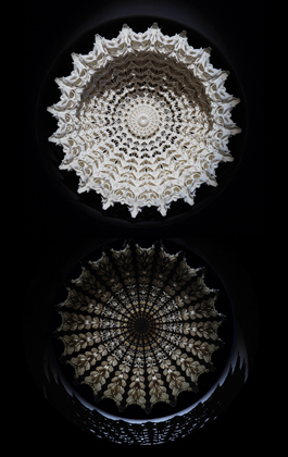 SP2 NewBorn Cyclo, 2010