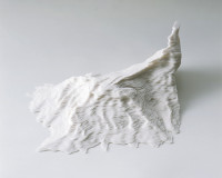 A Piece of Flat Globe Vol. 10, 2009