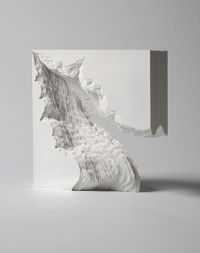 A Piece of Flat Globe Vol. 20, 2011