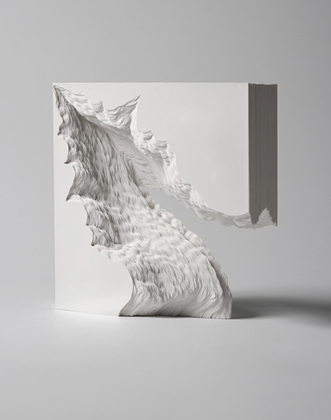 A Piece of Flat Globe Vol. 20, 2011