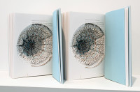 To Perfext Lovers - Felix Gozales Torres, 2010