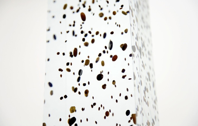 Mythology of Bean, detail