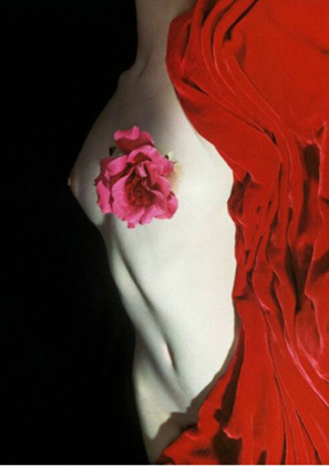 Nude with Camellia (1950)