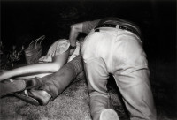 Untitled, from the series "The Park" (1971)