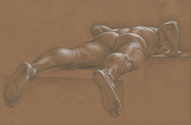 Nude Male Reclining Face Down
