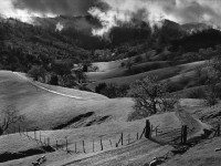 Pasture, Sonoma County (c.1957)
