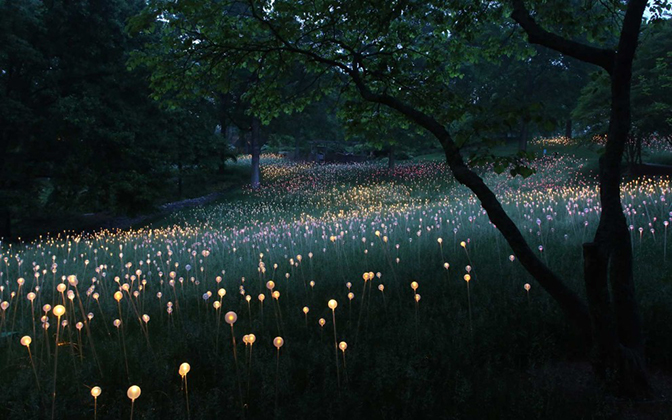 Field of Light, Cheekwood Gardens, TN (2013)