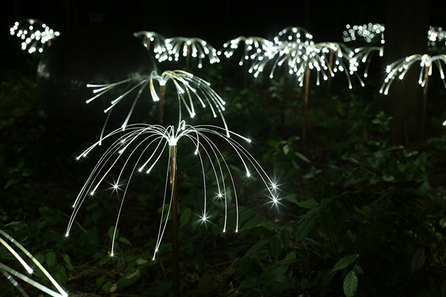 Fireflies, Hemitage Museum and Gardens, Norfolk, VA (2014)