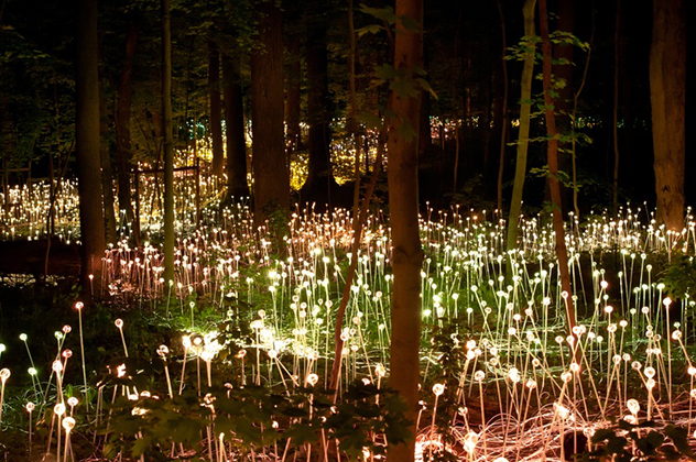 Longwood Gardens, Field of Light, PA (2012)