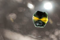 Clinochlore in Quartz