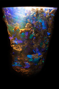 Opal in ironstone