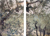 Something New Near Bazzano (2000)