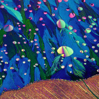 Crystal of Sulpher, Resorcinal, Azelaic acid (50x), by Dr. John, Hart (2013)