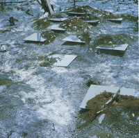 Yucatan Mirror Displacements (1969)