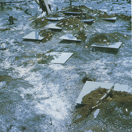 Yucatan Mirror Displacements (1969)