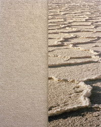 Salt Carpet (2010)
