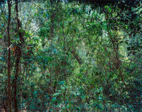 Paradise 09, Xi Shuang Banna (1999)