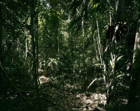 Paradise 27, Peru (2005)