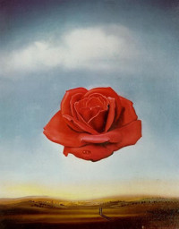 Meditative Rose (1958)
