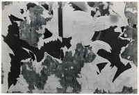 [White, Black Torn Posters] (1951)