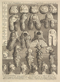 The Five Orders of Periwigs, Etching, second state of two (1761)