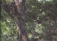 Wish u were here xxx