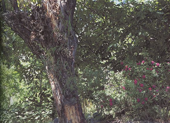 Wish u were here xxx