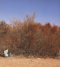 Wish u were here xxx