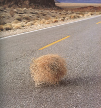 Wish u were here xxx