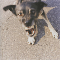 Wish u were here xxx