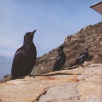 Wish u were here xxx