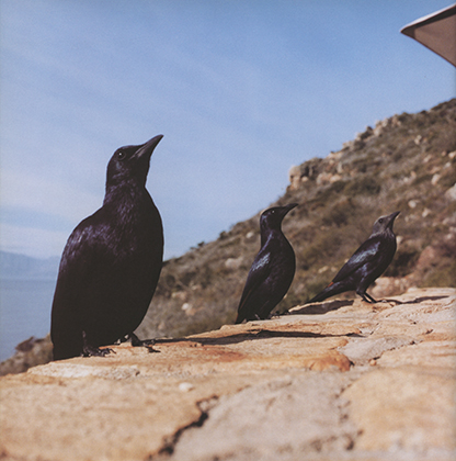 Wish u were here xxx