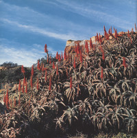 Wish u were here xxx